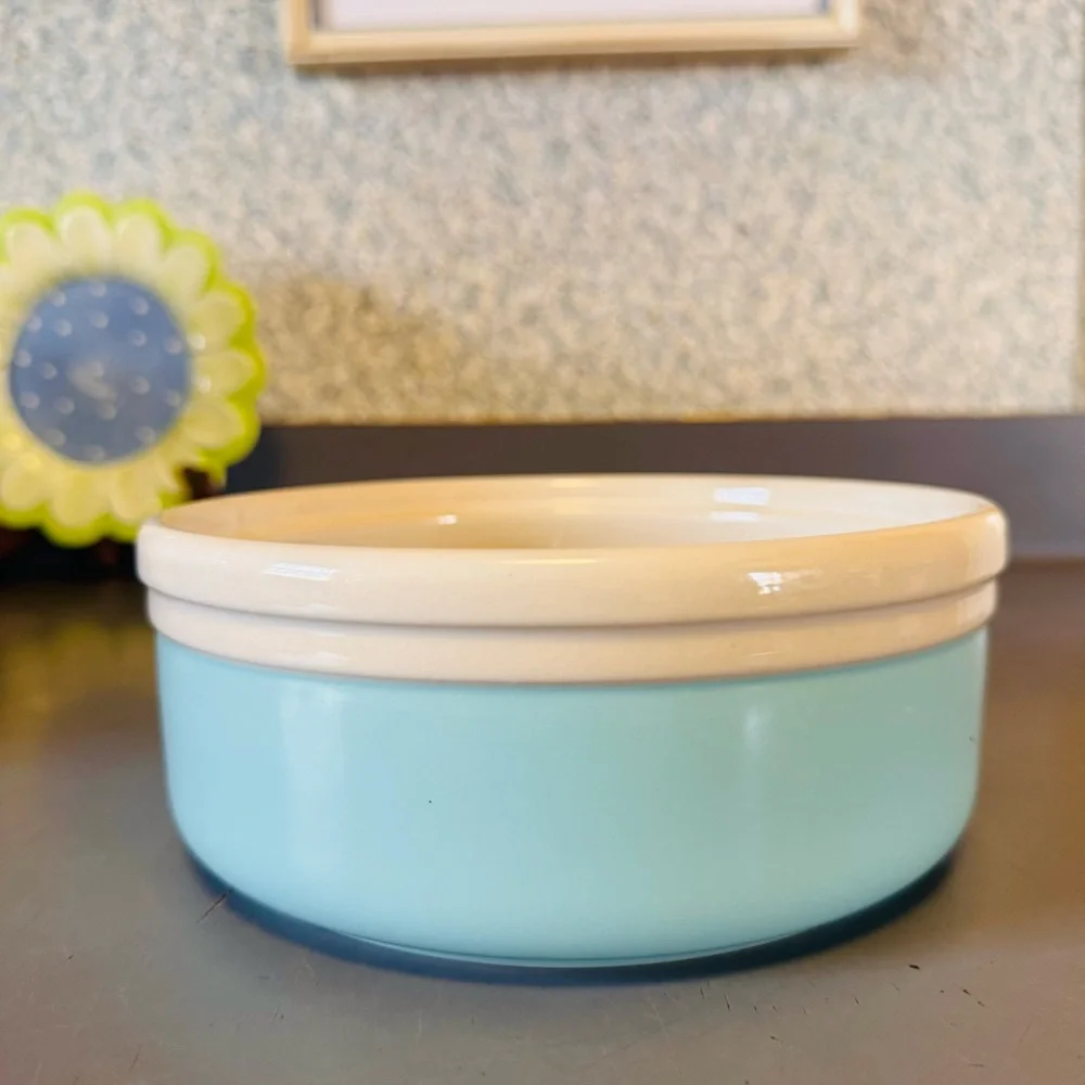 Ceramic Dog Bowl Blue White & Food, Brown Letters With Brown Bone Print